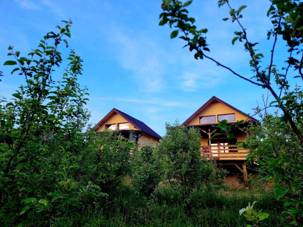 Villa Casa David Plai  Exterior foto